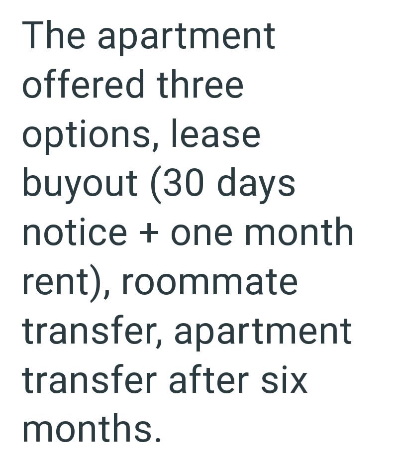 The apartment offered three options, lease buyout (30 days notice + one month rent), roommate transfer, apartment transfer after six months.