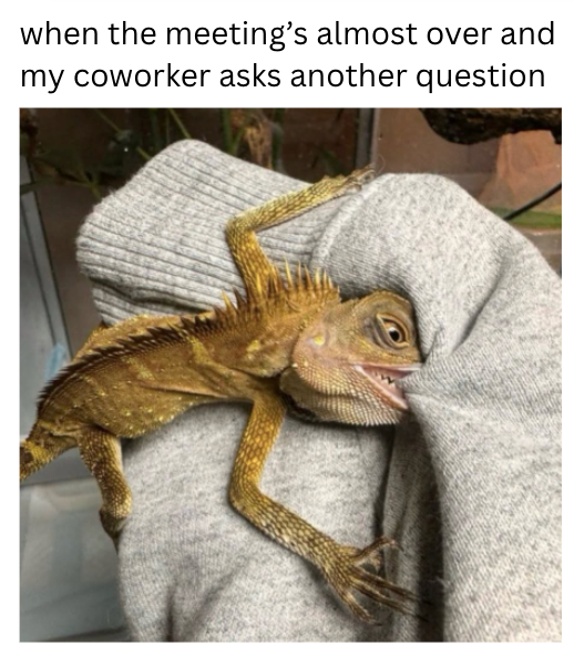 when the meeting's almost over and my coworker asks another question