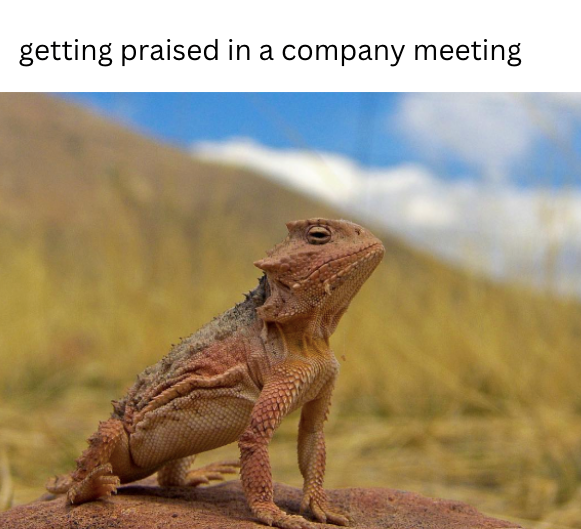 getting praised in a company meeting
