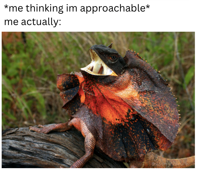 *me thinking im approachable* me actually: