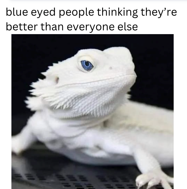 blue eyed people thinking they're better than everyone else = ==