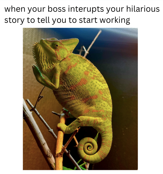 when your boss interupts your hilarious story to tell you to start working