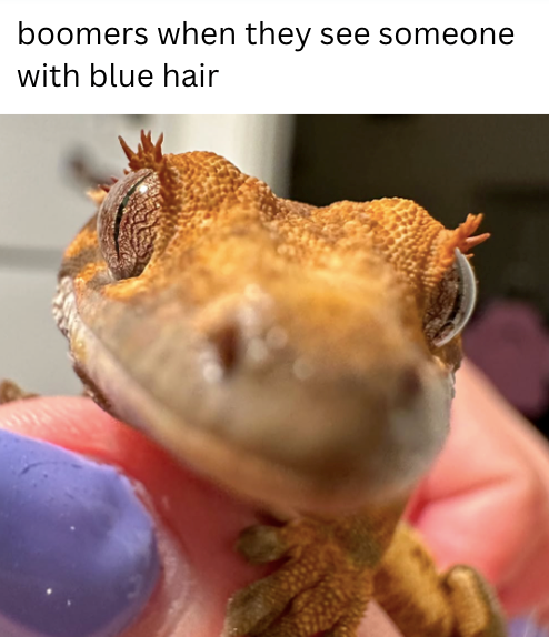 boomers when they see someone with blue hair