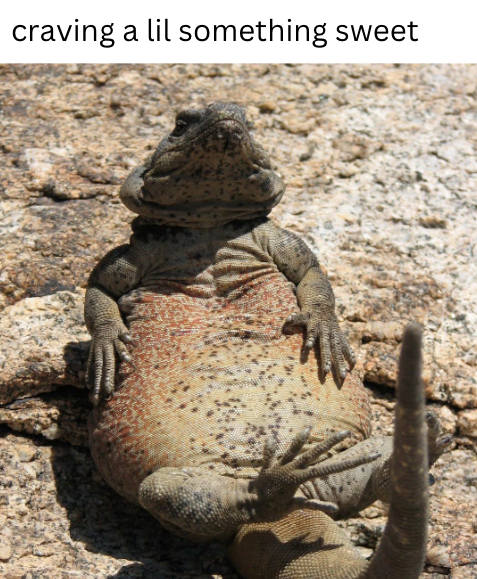 craving a lil something sweet