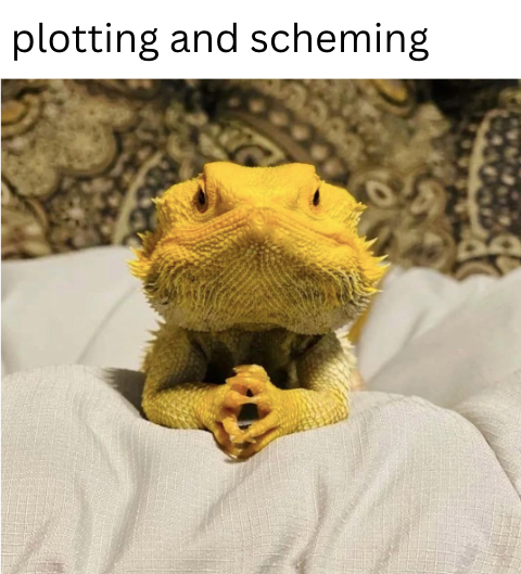 plotting and scheming