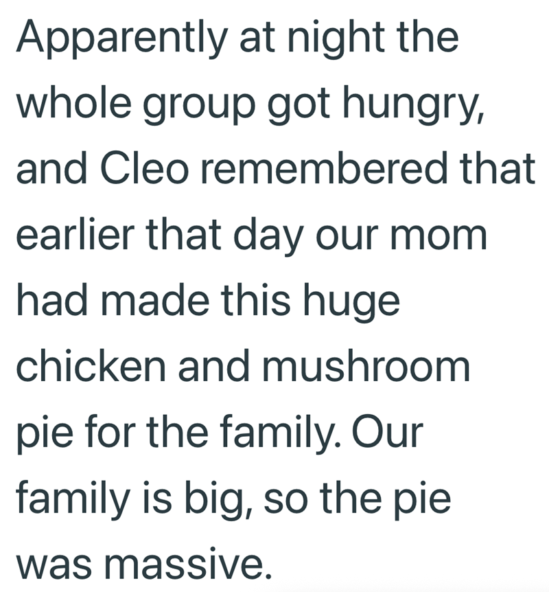 Apparently at night the whole group got hungry, and Cleo remembered that earlier that day our mom had made this huge chicken and mushroom pie for the family. Our family is big, so the pie was massive.