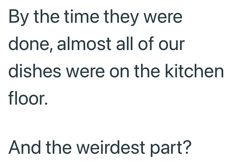 By the time they were done, almost all of our dishes were on the kitchen floor. And the weirdest part?