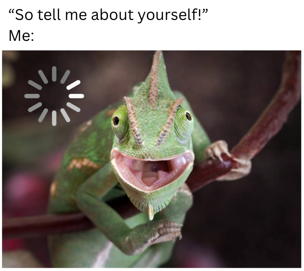 "So tell me about yourself!" Me: