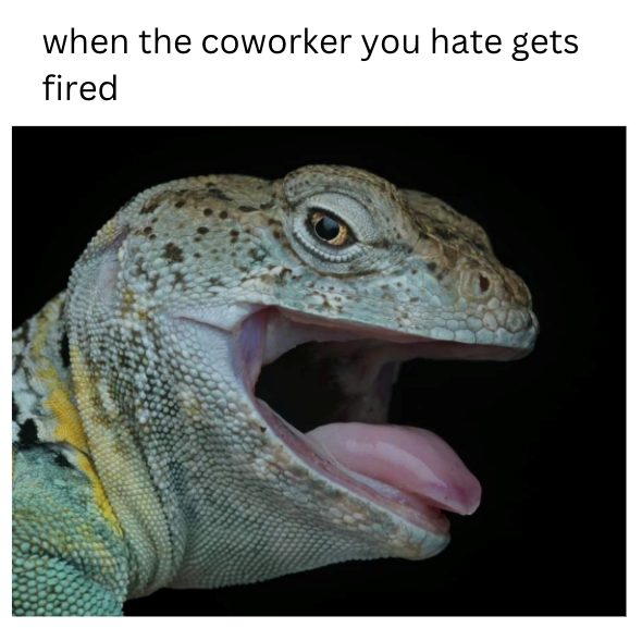 when the coworker you hate gets fired