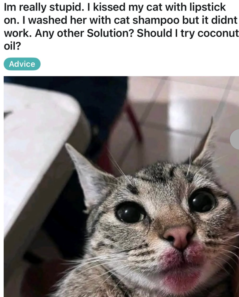 Im really stupid. I kissed my cat with lipstick on. I washed her with cat shampoo but it didnt work. Any other Solution? Should I try coconut oil? Advice