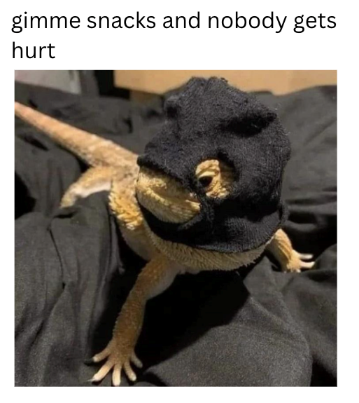 gimme snacks and nobody gets hurt