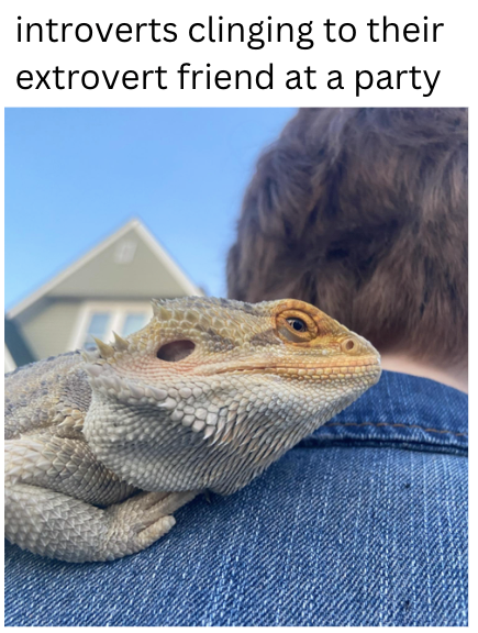 introverts clinging to their extrovert friend at a party