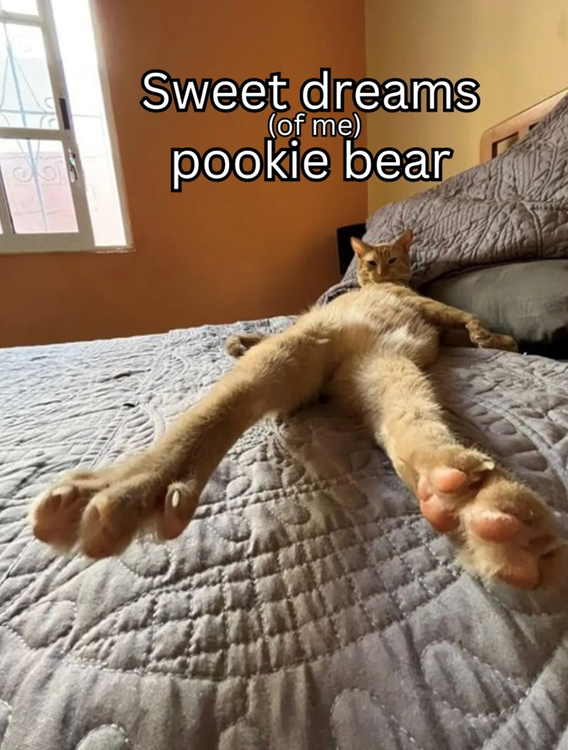 Sweet dreams (of me) pookie bear