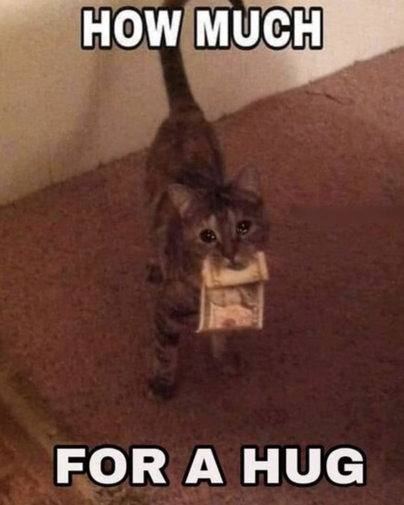 HOW MUCH FOR A HUG