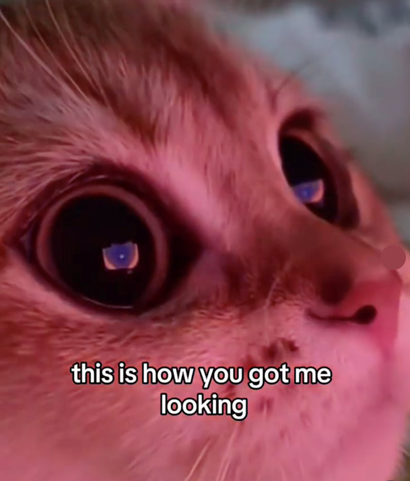 this is how you got me looking