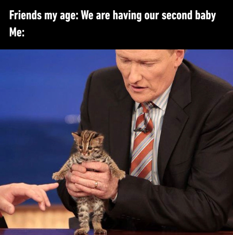 Friends my age: We are having our second baby Me: