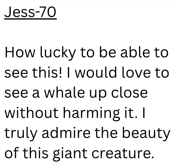 Jess-70 How lucky to be able to see this! I would love to see a whale up close without harming it. I truly admire the beauty of this giant creature.