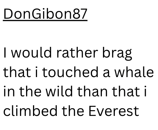 DonGibon87 I would rather brag that i touched a whale in the wild than that i climbed the Everest