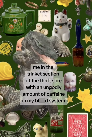 BDANON VINIO SILBERNE 594 me in the trinket section of the thrift sore with an ungodly amount of caffeine in my bl d system