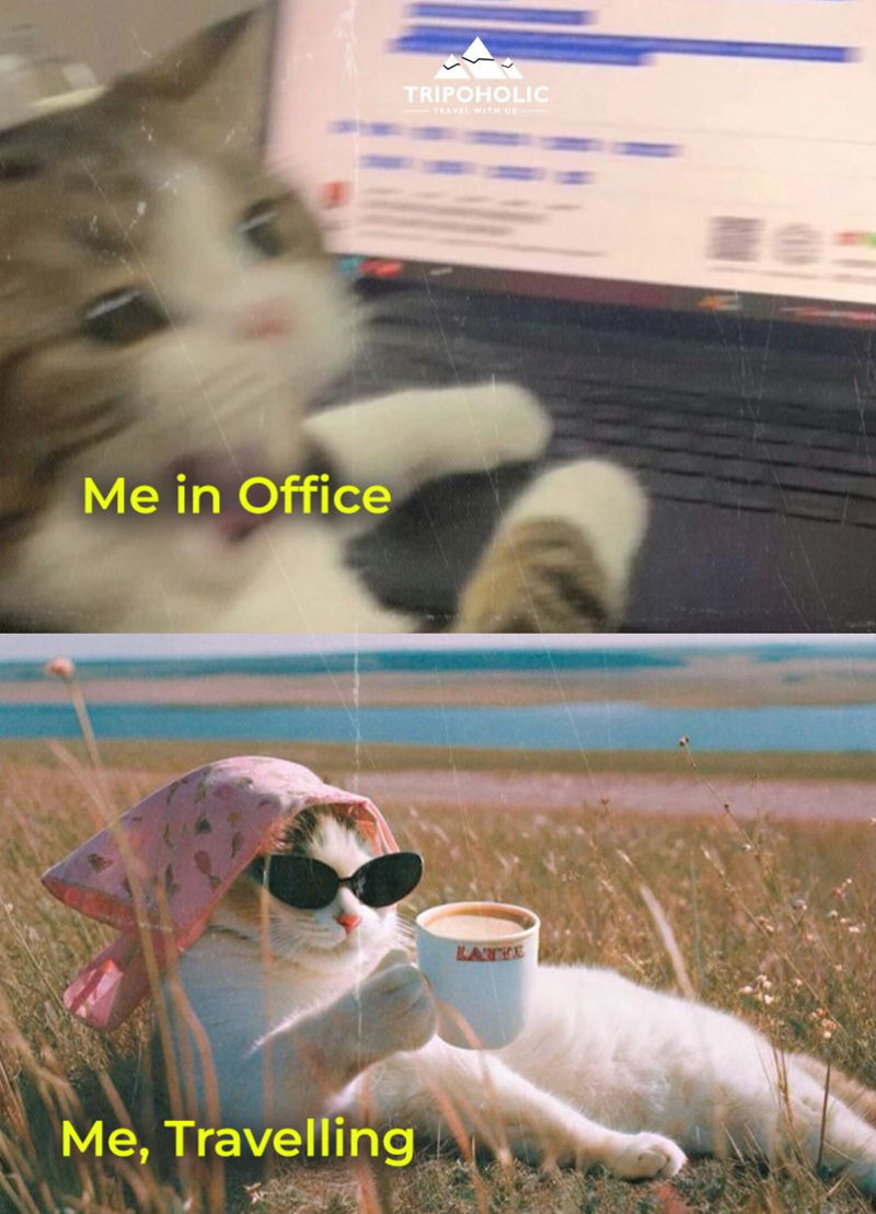 Me in Office Me, Travelling TRIPOHOLIC TRAVEL WITH US LATE