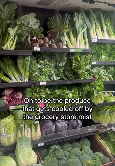 de Oh to be the produce that gets cooled off by the grocery store mist