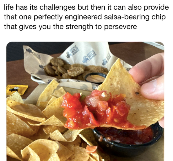 life has its challenges but then it can also provide that one perfectly engineered salsa-bearing chip that gives you the strength to persevere WILD
