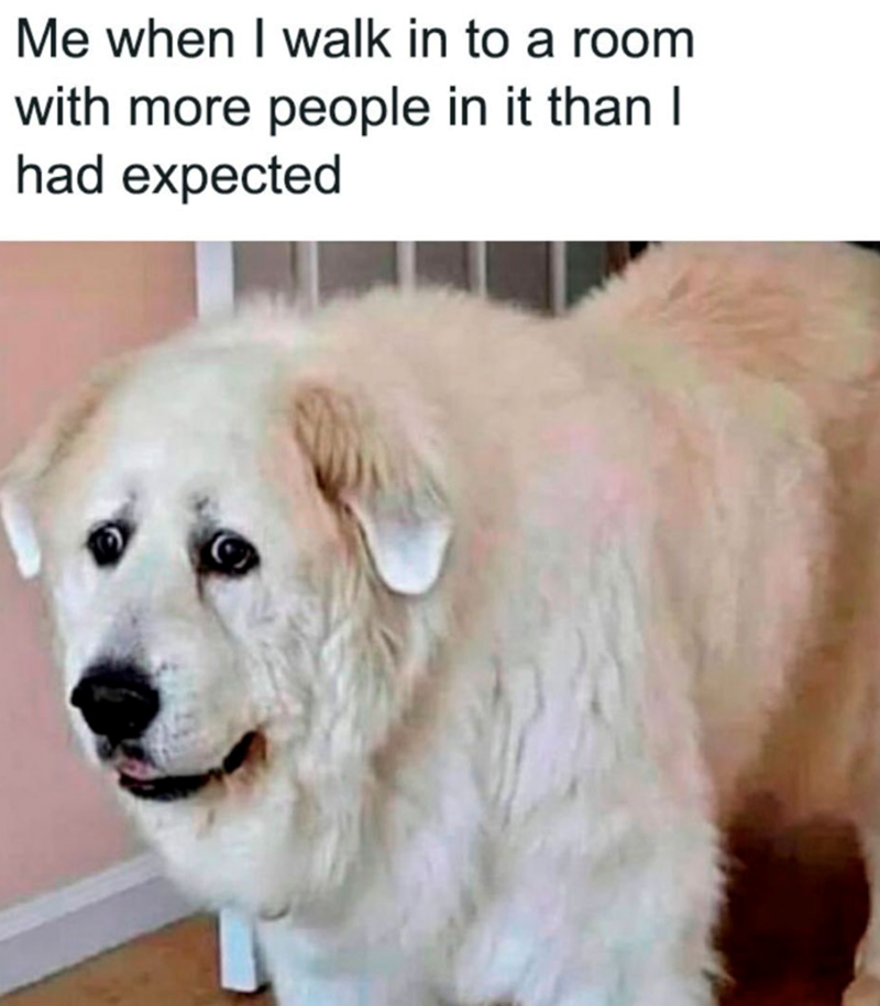Me when I walk in to a room. with more people in it than I had expected