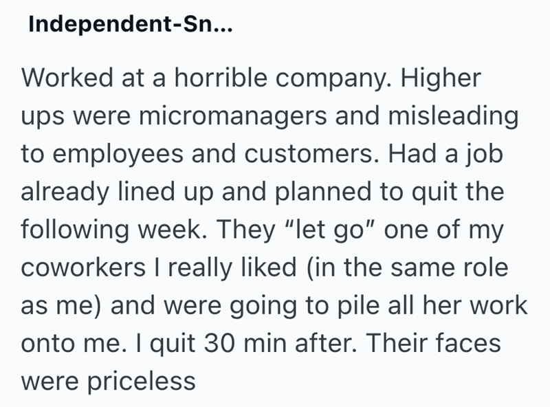 Independent-Sn... Worked at a horrible company. Higher ups were micromanagers and misleading to employees and customers. Had a job already lined up and planned to quit the following week. They "let go" one of my coworkers I really liked (in the same role as me) and were going to pile all her work onto me. I quit 30 min after. Their faces were priceless