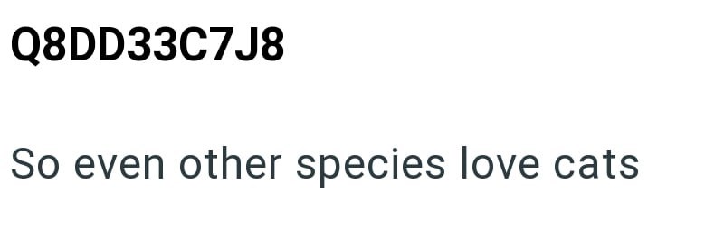 Q8DD33C7J8 So even other species love cats