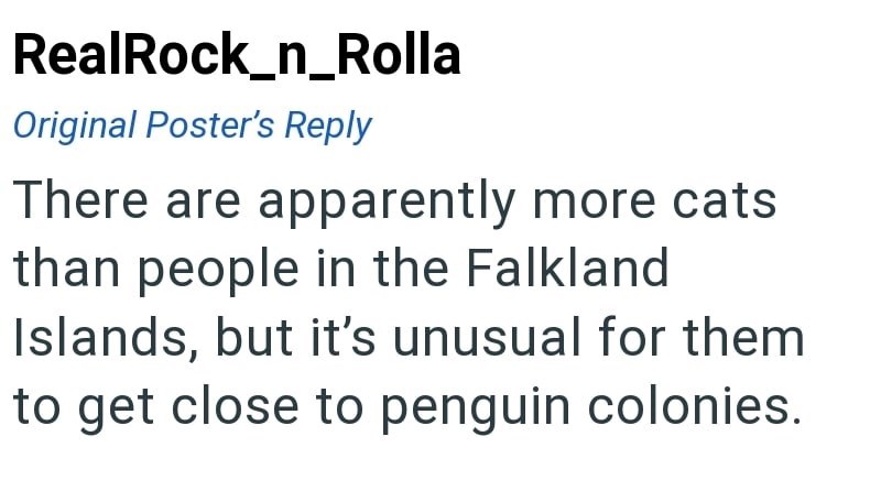 RealRock_n_Rolla Original Poster's Reply There are apparently more cats than people in the Falkland Islands, but it's unusual for them to get close to penguin colonies.