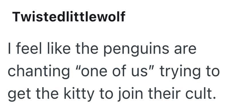 Twistedlittlewolf I feel like the penguins are chanting "one of us" trying to get the kitty to join their cult.