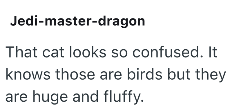 Jedi-master-dragon That cat looks so confused. It knows those are birds but they are huge and fluffy.