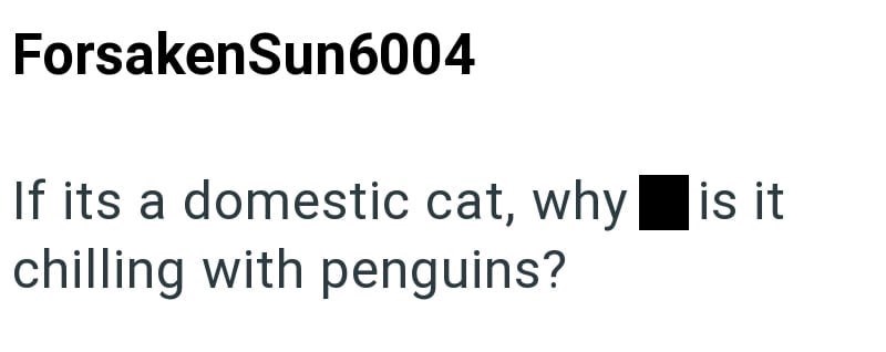 ForsakenSun6004 If its a domestic cat, why chilling with penguins? is it