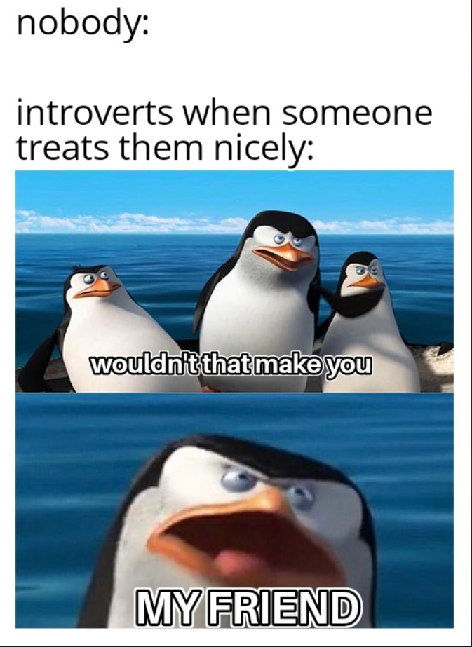 nobody: introverts when someone treats them nicely: wouldn't that make you MY FRIEND
