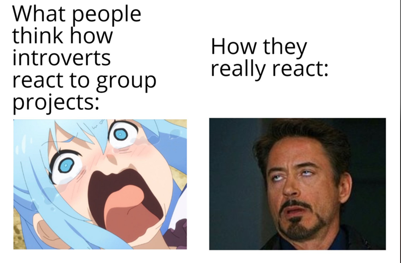 What people think how introverts react to group projects: How they really react: