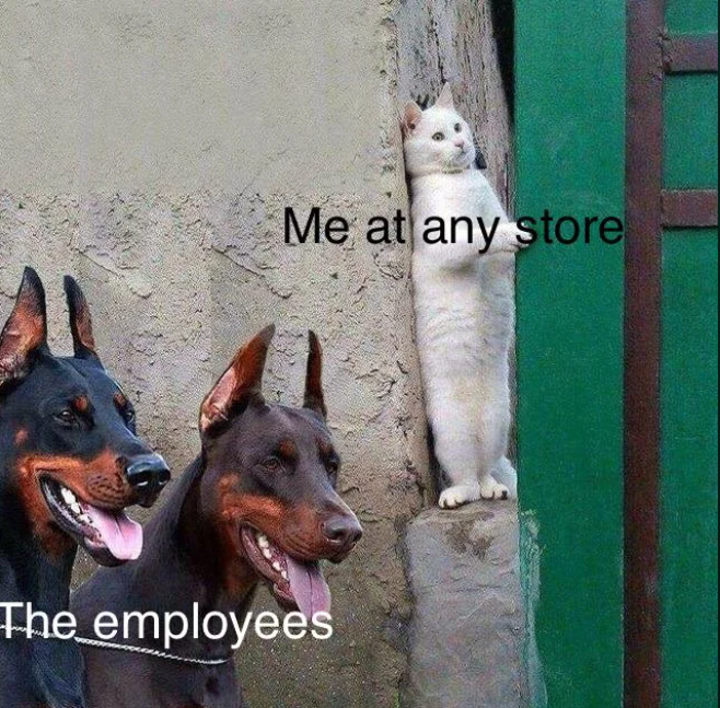 Me at any store The employees