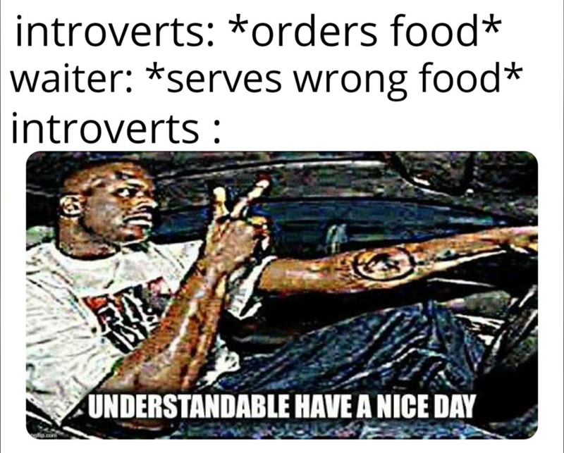 introverts: * orders food* waiter: *serves wrong food* introverts: olip.com UNDERSTANDABLE HAVE A NICE DAY