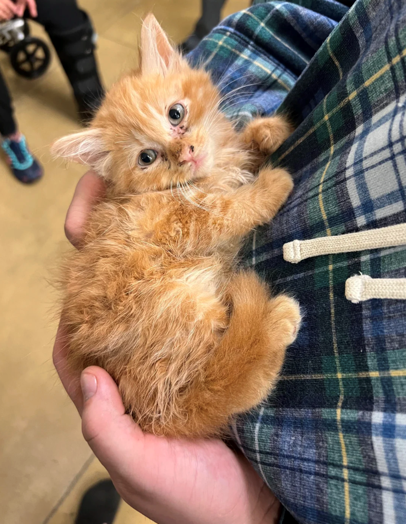 Cheezburger Image 10614589952