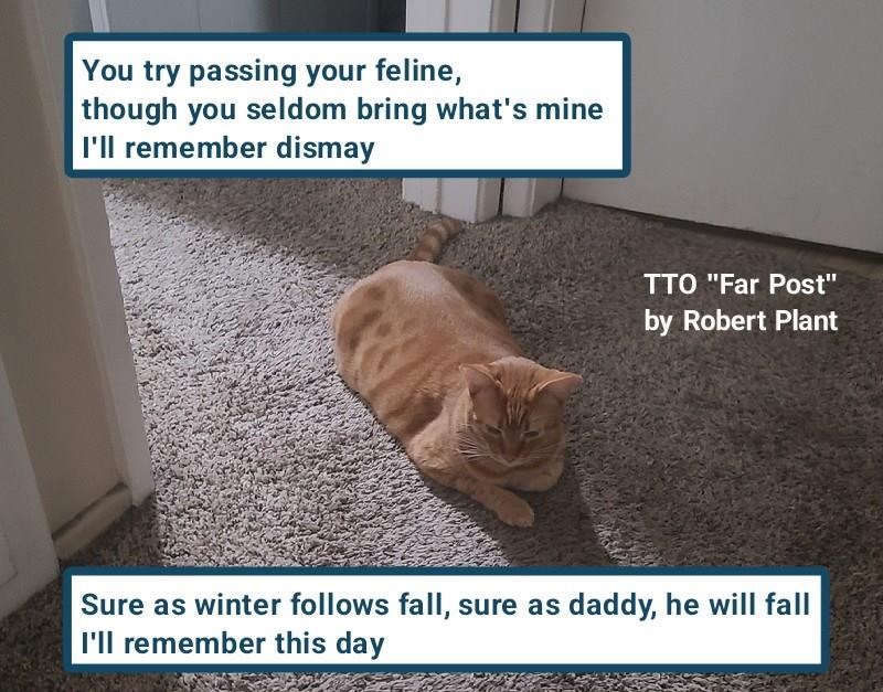 Cheezburger Image 10614594304