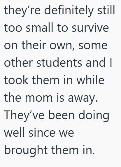 they're definitely still too small to survive on their own, some other students and I took them in while the mom is away. They've been doing well since we brought them in.