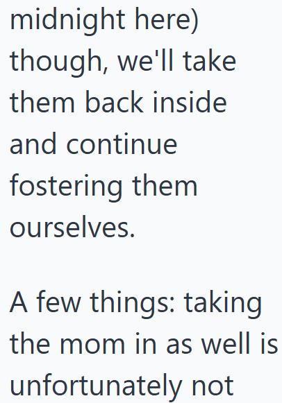 midnight here) though, we'll take them back inside and continue fostering them ourselves. A few things: taking the mom in as well is unfortunately not