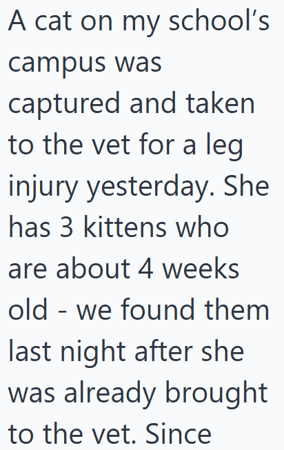 A cat on my school's campus was captured and taken to the vet for a leg injury yesterday. She has 3 kittens who are about 4 weeks old we found them last night after she was already brought to the vet. Since