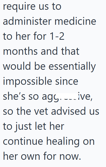 require us to administer medicine to her for 1-2 months and that would be essentially impossible since she's so agy... ive, so the vet advised us to just let her continue healing on her own for now.