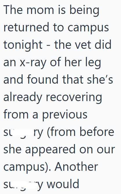 The mom is being returned to campus tonight - the vet did an x-ray of her leg and found that she's already recovering from a previous Sɩry (from before she appeared on our campus). Another SL... y would ン