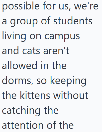 possible for us, we're a group of students living on campus and cats aren't allowed in the dorms, so keeping the kittens without catching the attention of the