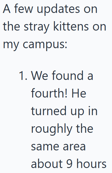 A few updates on the stray kittens on my campus: 1. We found a fourth! He turned up in roughly the same area about 9 hours
