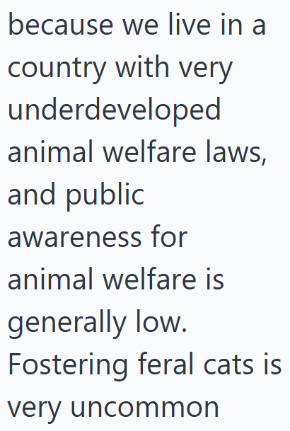 because we live in a country with very underdeveloped animal welfare laws, and public awareness for animal welfare is generally low. Fostering feral cats is very uncommon