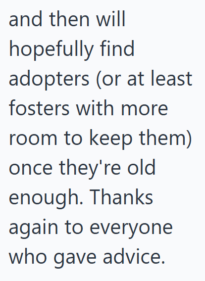 and then will hopefully find adopters (or at least fosters with more room to keep them) once they're old enough. Thanks again to everyone who gave advice.