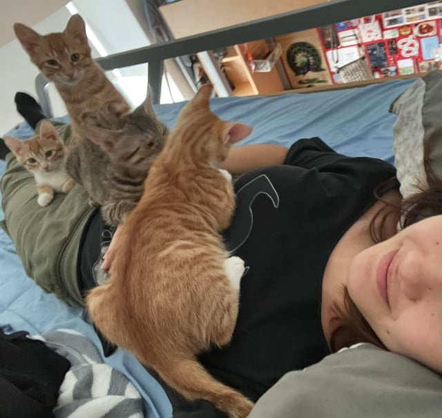 Cheezburger Image 10614609408