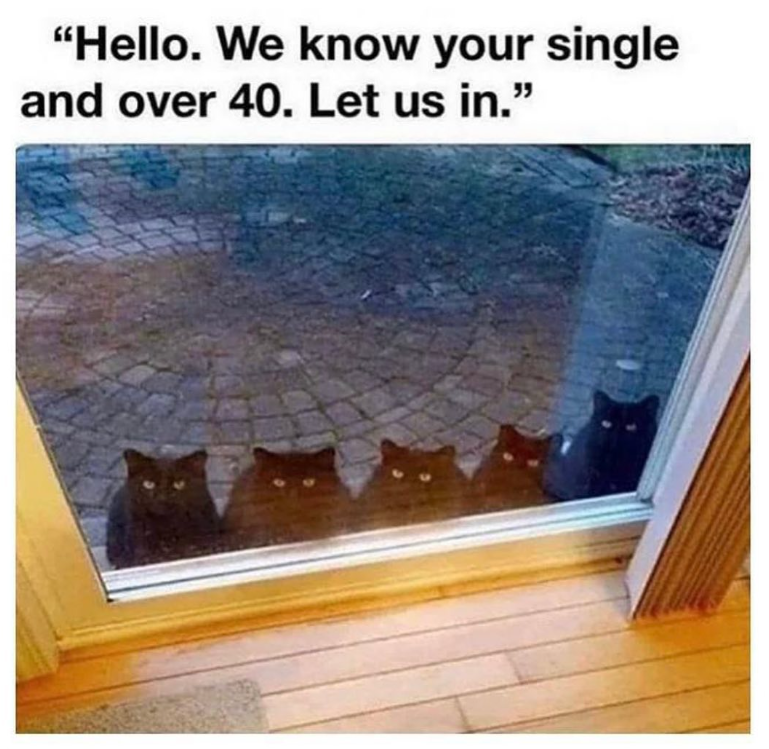 "Hello. We know your single and over 40. Let us in."